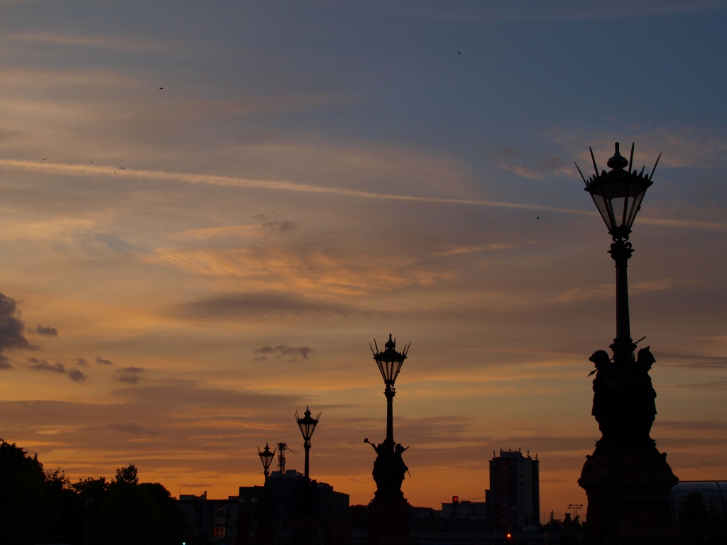 P8215186.jpg