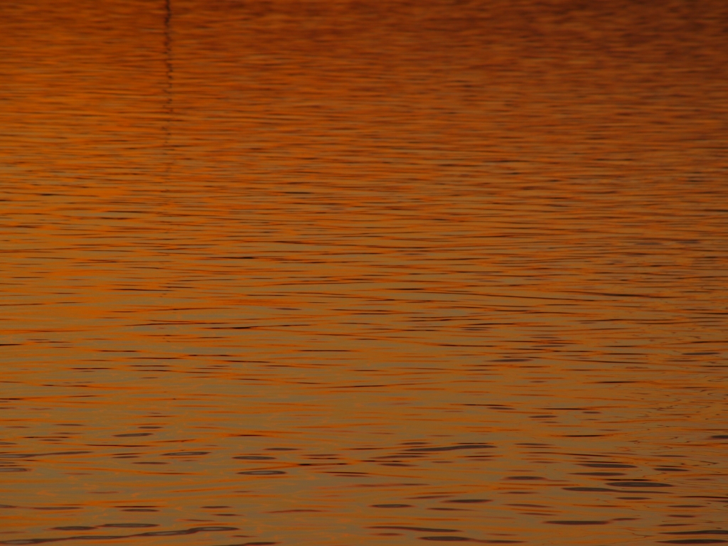 PC256799.jpg