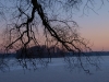 P1118656.jpg