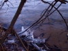 PC307916.jpg